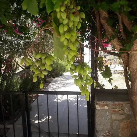 Apple House * Muğla